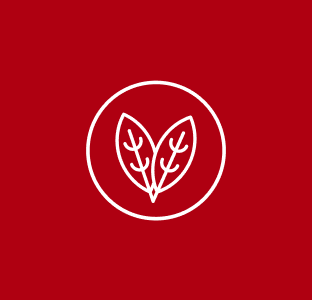 Значок веганського складу