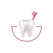 Tooth and toothbrush