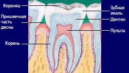 teeth1